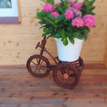 Apartment I Woda *